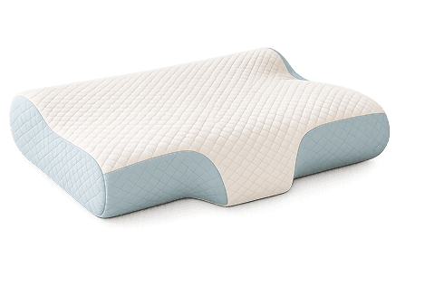 NeckZee pillow